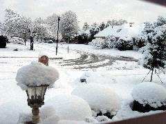 2010-02-12-Snow.JPG